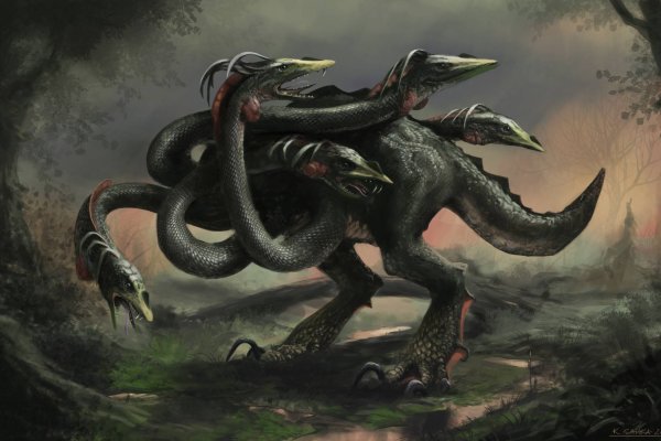 Kraken 12