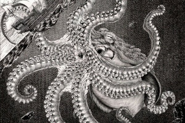 Kraken17 at