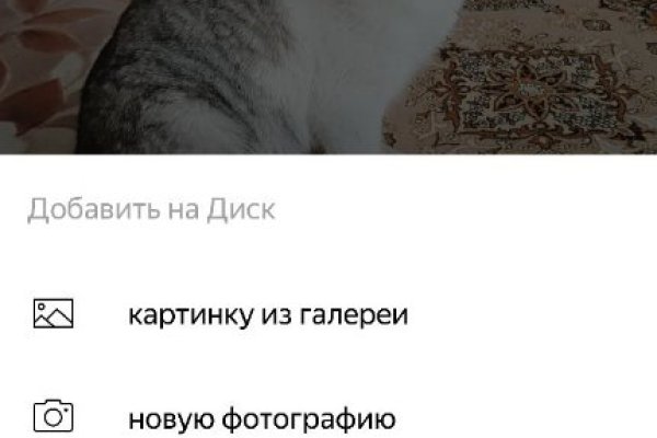 Ссылка кракен сайт зеркало