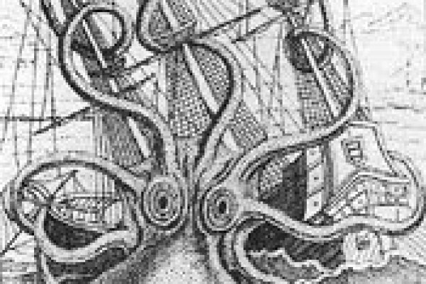 Kraken ссылка kraken torion
