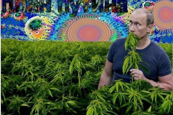 Ссылка на кракен официальный сайт