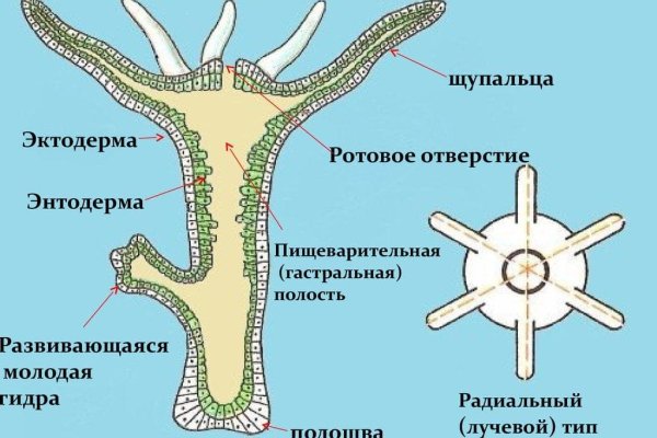 Ссылка на кракен в тор браузере kr2web in