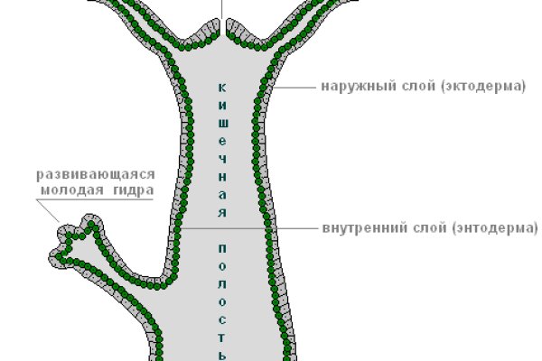 Кракен сайт официальный kraken clear com