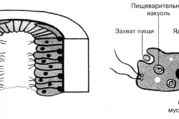 Только через тор кракен