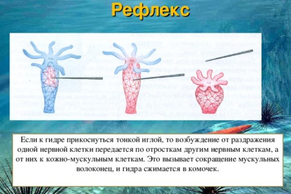 Кракен даркент