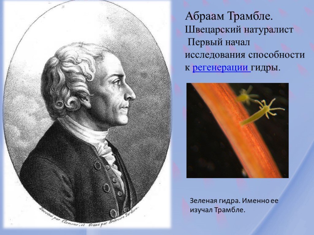 Кракен маркет плей